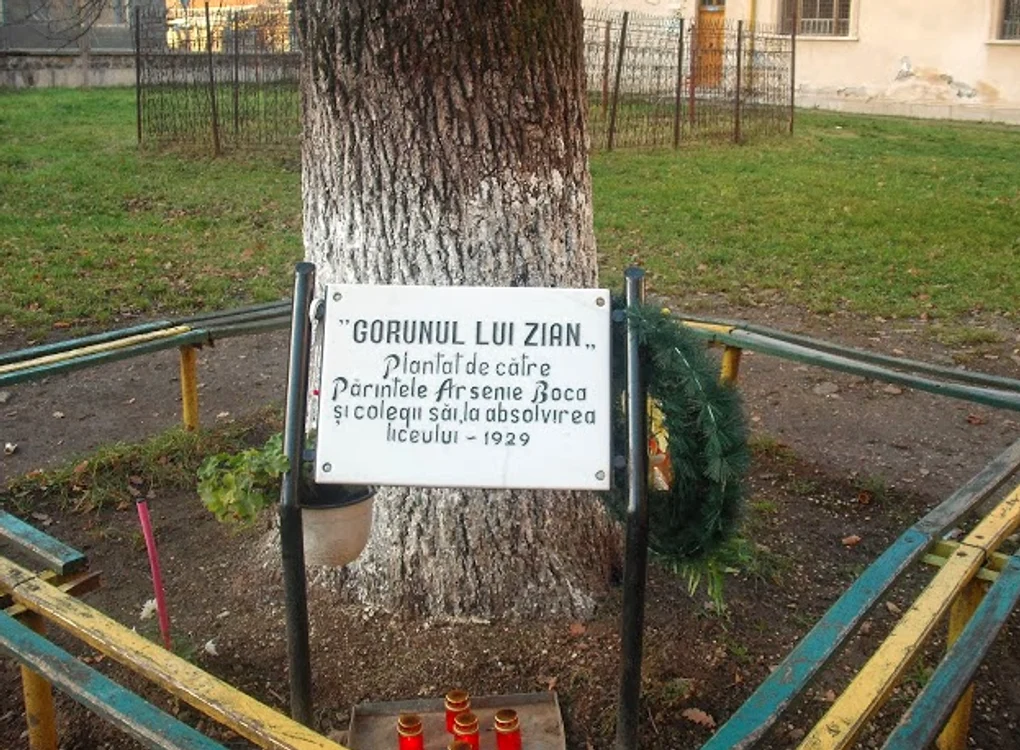 Stejarul lui Arsenie Boca s-a prăbuşit din seninfoto: Florin Cazacu/Facebook