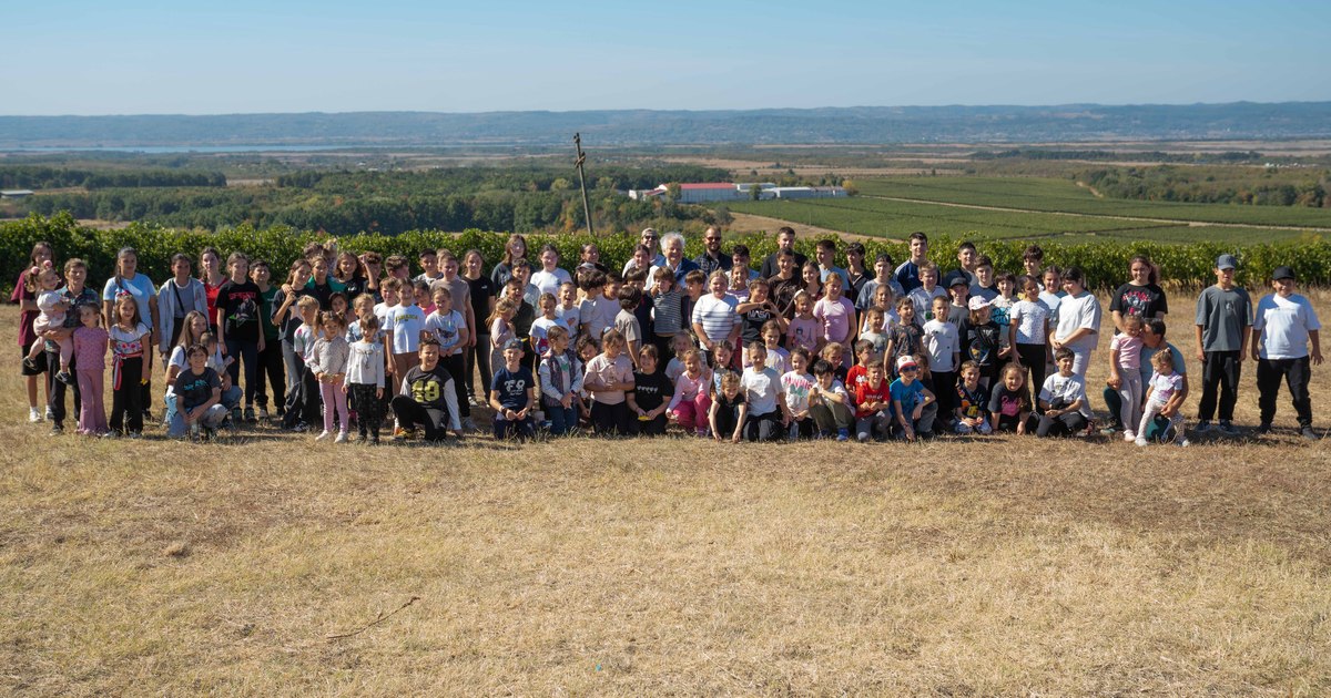 A XII-a ediție „La Strugurit” a reunit peste 350 de participanți la Domeniile Sâmburești