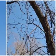 drona filmata deasupra judetului tulcea 13 03 2026 FOTO FB Dotto TV