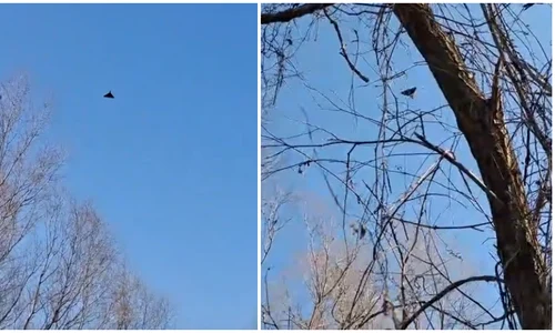 drona filmata deasupra judetului tulcea 13 03 2026 FOTO FB Dotto TV