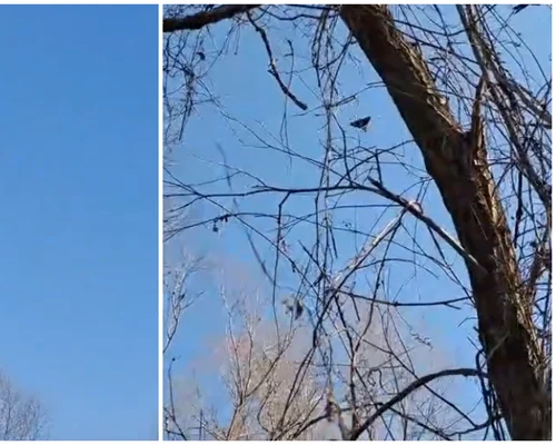 drona filmata deasupra judetului tulcea 13 03 2026 FOTO FB Dotto TV