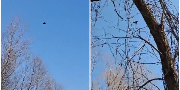 drona filmata deasupra judetului tulcea 13 03 2026 FOTO FB Dotto TV