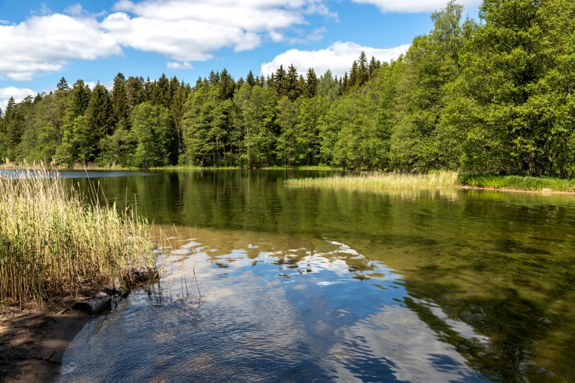 Parcul Naţional Valdai FOTO Shutterstock