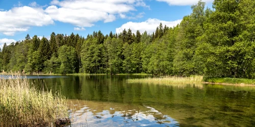 Parcul Naţional Valdai FOTO Shutterstock