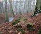 cetatea dacica piatra rosie foto adevarul daniel guta