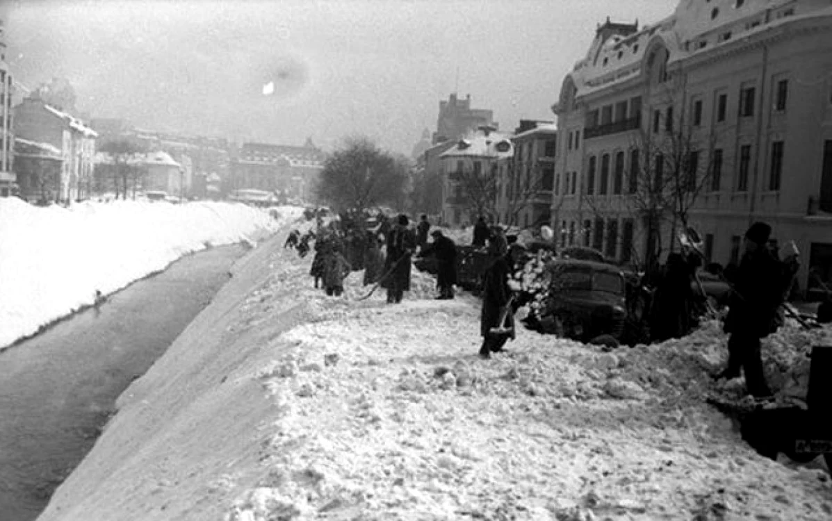 iarna54
