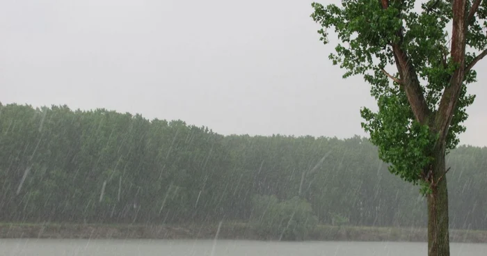 Precipitaţii abundente în Călăraşi Foto:I.S.