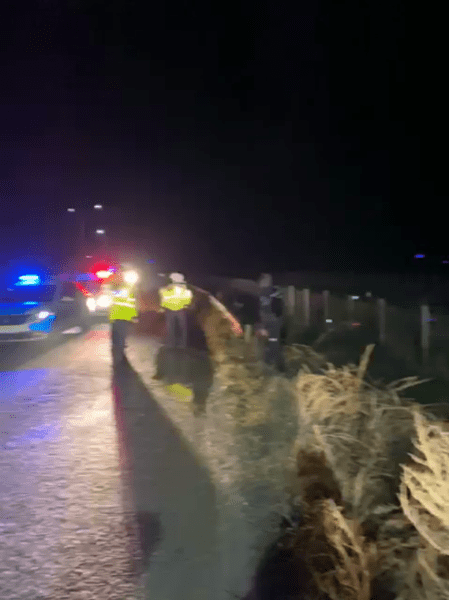 Șofer de 20 de ani resuscitat după un accident în Argeș VIDEO
