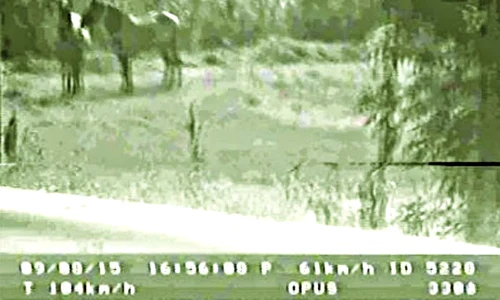 Captură de pe aparatul radar în care apar caii jpeg