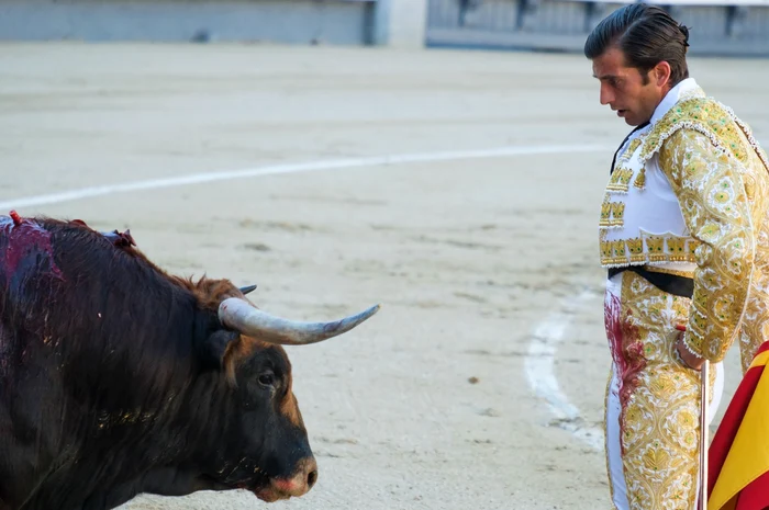 Mario Alicante,în arenă, FOTO profimedia