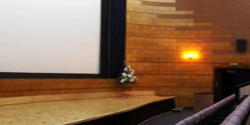 Filme pentru toate gusturile la cinematograful Arta