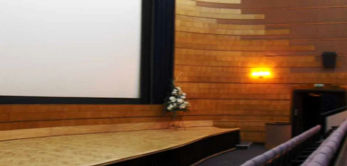 Filme pentru toate gusturile la cinematograful Arta