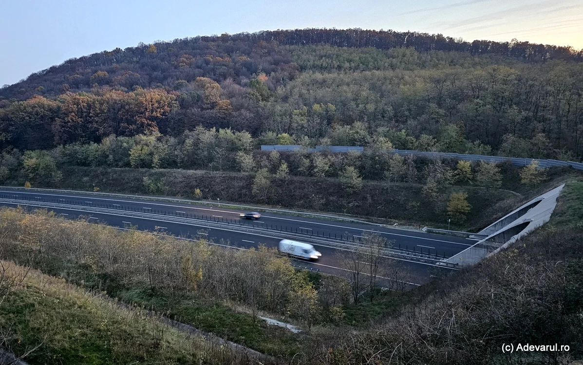 Ecoductul de la Brănișca. Foto: Daniel Guță. ADEVĂRUL