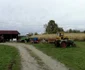crima bistrita bargaului 8