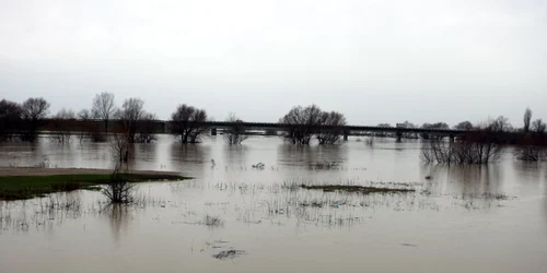 Apele au inundat curtea casei unde locuiau cele două persoane