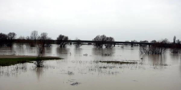 Apele au inundat curtea casei unde locuiau cele două persoane