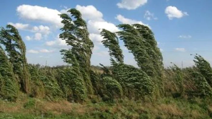 
    Avertizările sunt valabile până la ora 15.00  