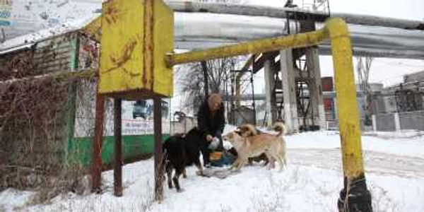 A apărut o fisură la o ţeavă de căldură