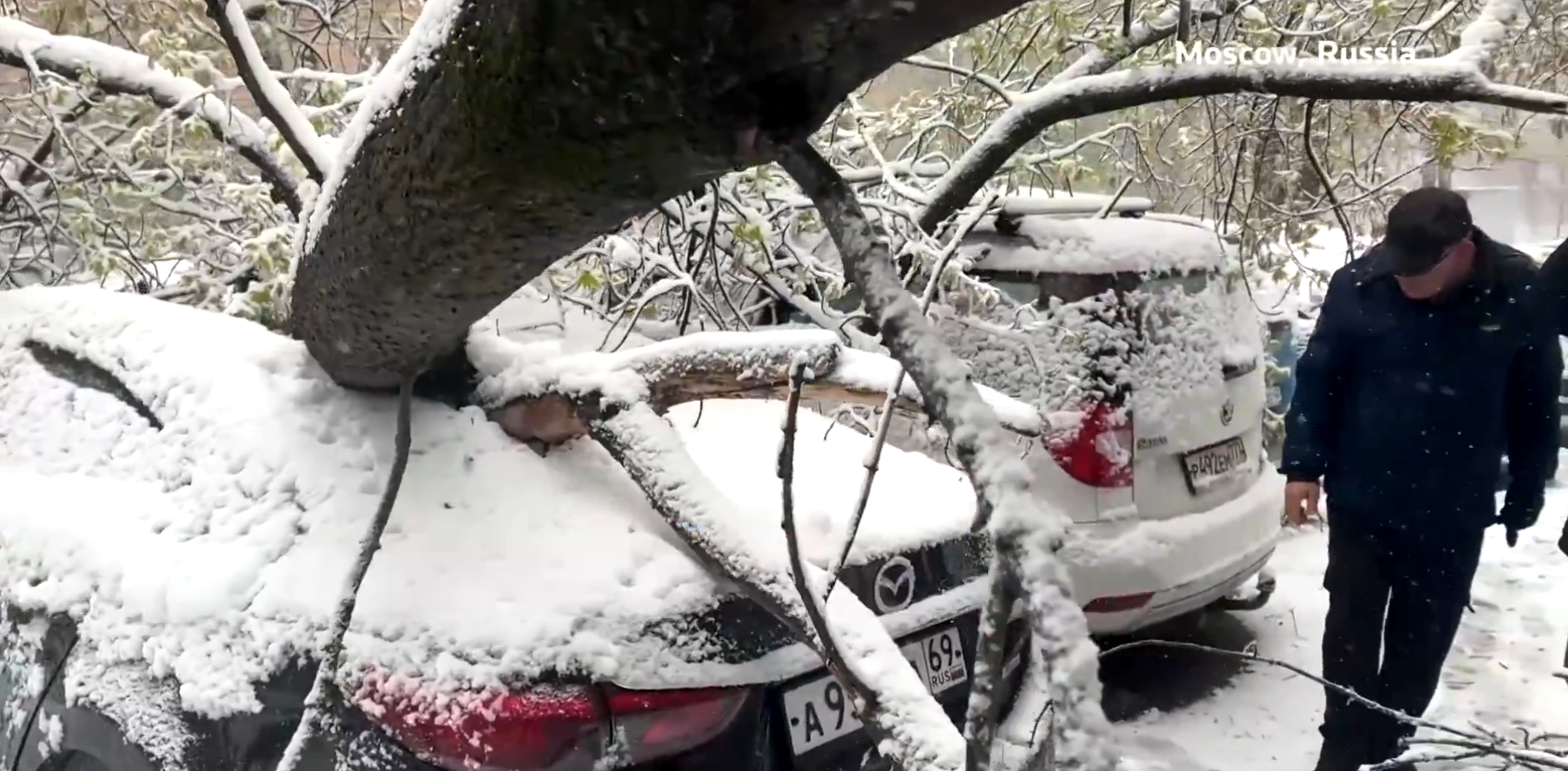 rusia furtuna reuters jpg