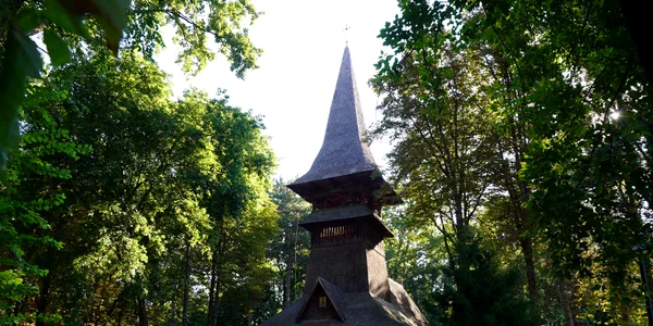 manastirea lacu sarat jpg
