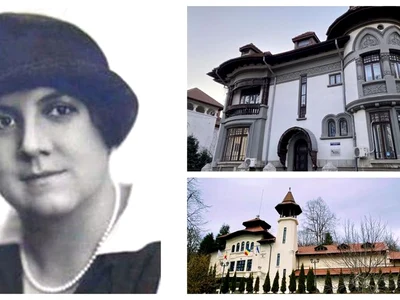 virginia haret colaj web jpg