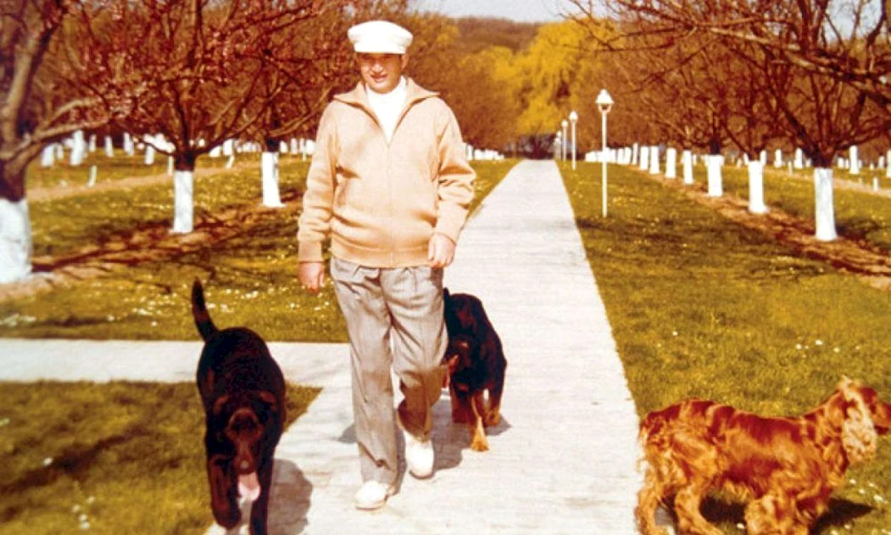 caini ceausescu jpg