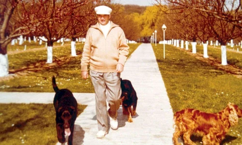 caini ceausescu jpg