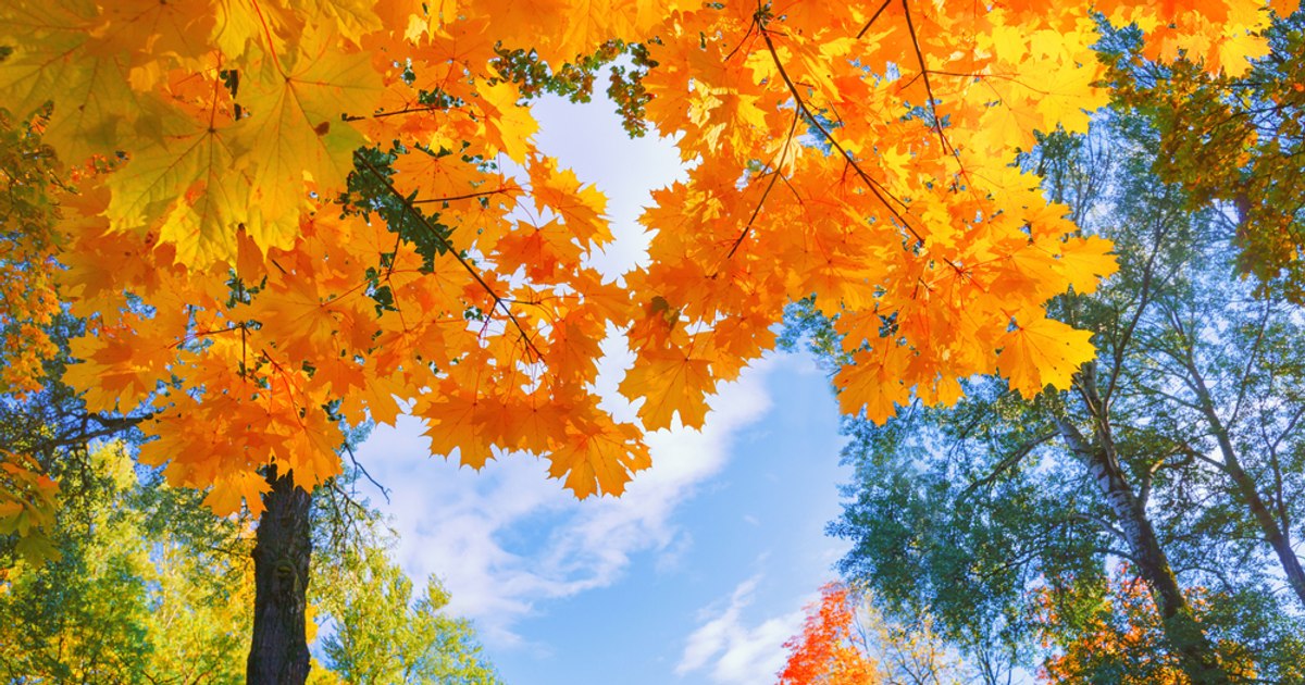 Septembrie aduce temperaturi ridicate în România: prognoza meteo pentru prima lună de toamnă