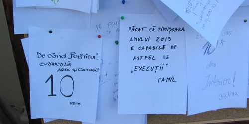 Muzeul de Artă Timişoara