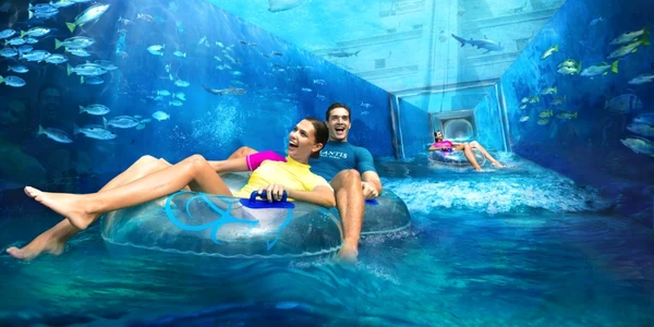 piscine businessinsider.com