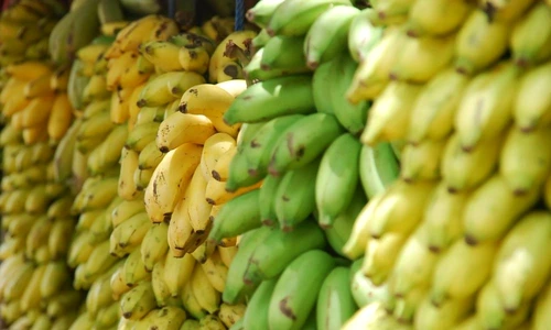 1 68470 original jpg jpeg