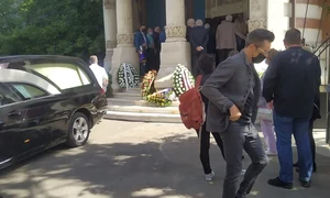 stefan banica 9 jpeg