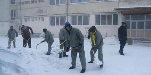 Echipaţi cu lopeţi, deţinuţii au ieşit la muncă  