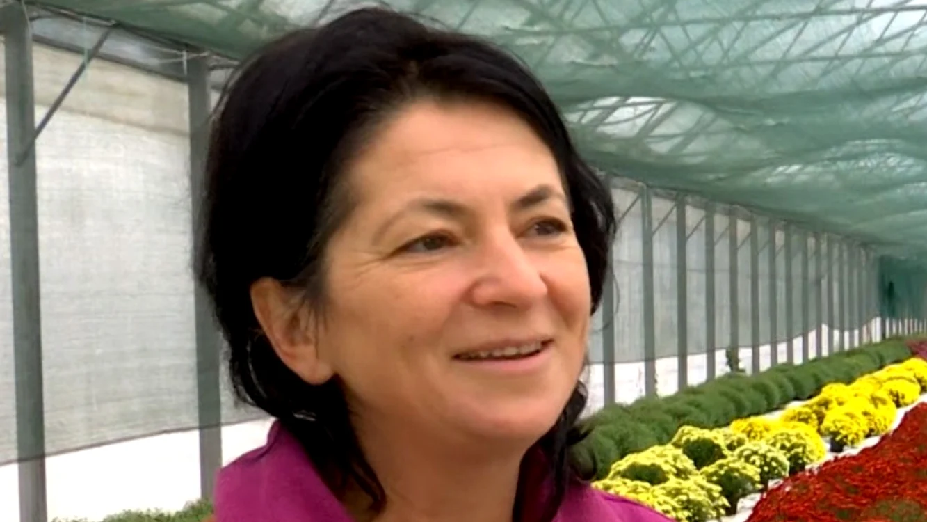 A renunțat la o carieră de 20 de ani în contabilitate.