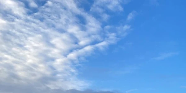 Camion răsturnat pe A 1 în Miercurea Sibiului - şoferul în stare de inconştienţă Foto DRDP Braşov