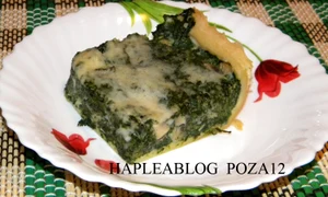 quiche cu spanac si ciuperci 12 jpeg