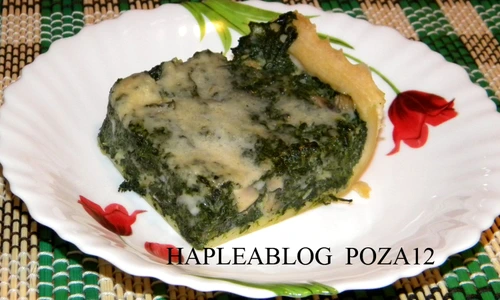 quiche cu spanac si ciuperci 12 jpeg