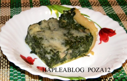 quiche cu spanac si ciuperci 12 jpeg