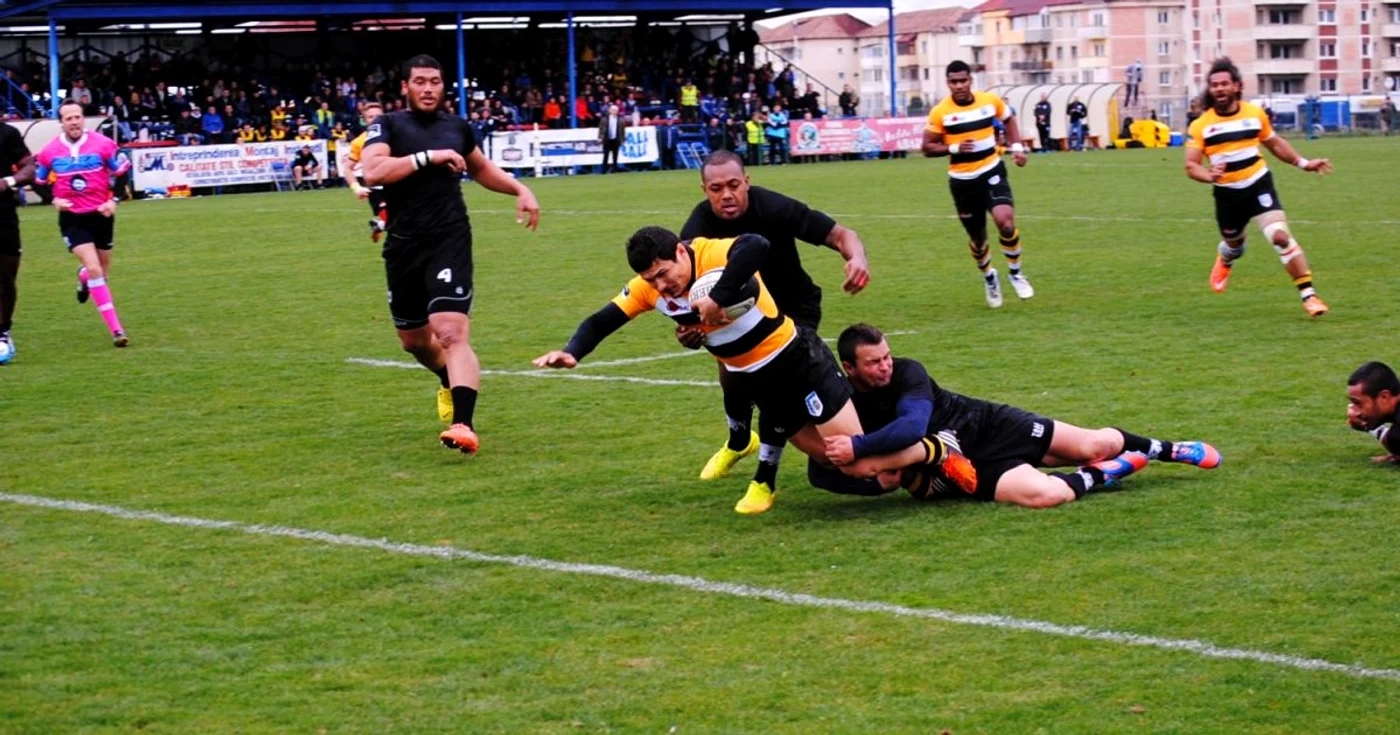 csm stiinta