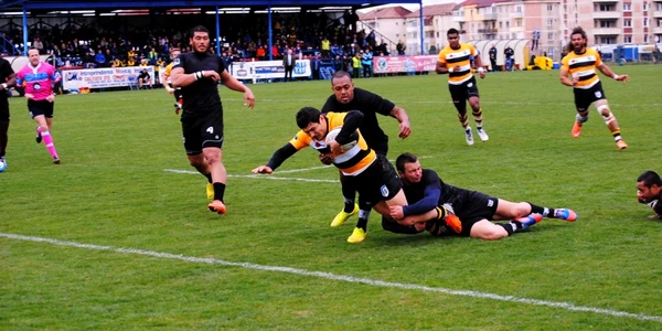 csm stiinta