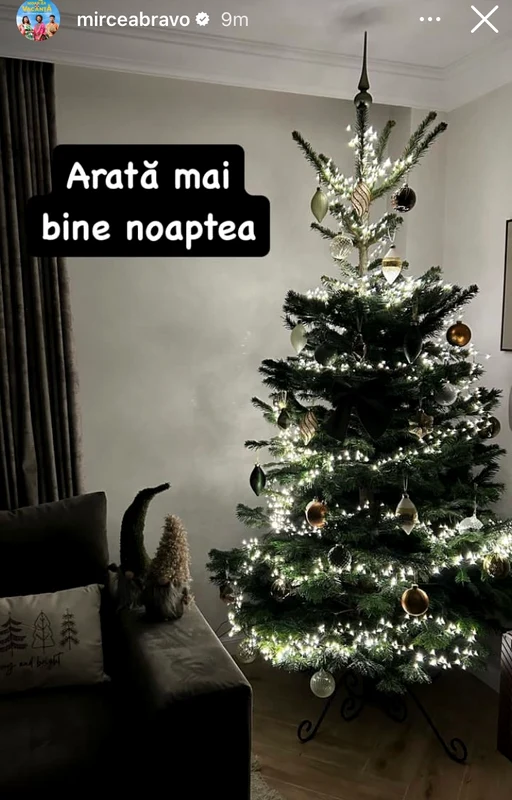 Bradul lui Mircea Bravo noaptea foto: Instagram 