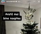Bradul lui Mircea Bravo noaptea foto: Instagram 