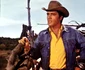 3 elvis2 jpg jpeg
