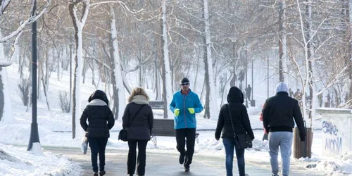 Imagini de iarnă din parcul Titan 23 ianuarie 2016 FOTO Adrian Pogîngeanu