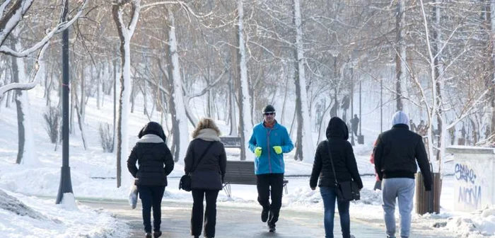 Iarnă cu temperaturi de primăvară FOTO Adrian Pogîngeanu