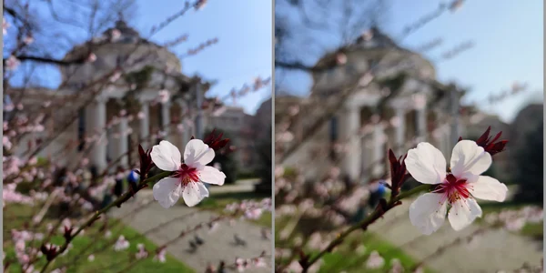 vivo X80 Pro vs vivo X90 Pro jpg