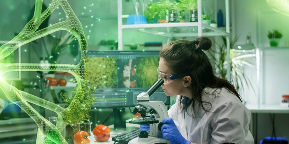 Proiectul legislativ privind vegetalele modificate genetic care poate schimba regulile de joc în agricultura europeană