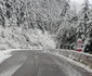 DN 7A  Foto DRDP Timișoara (1) jpg