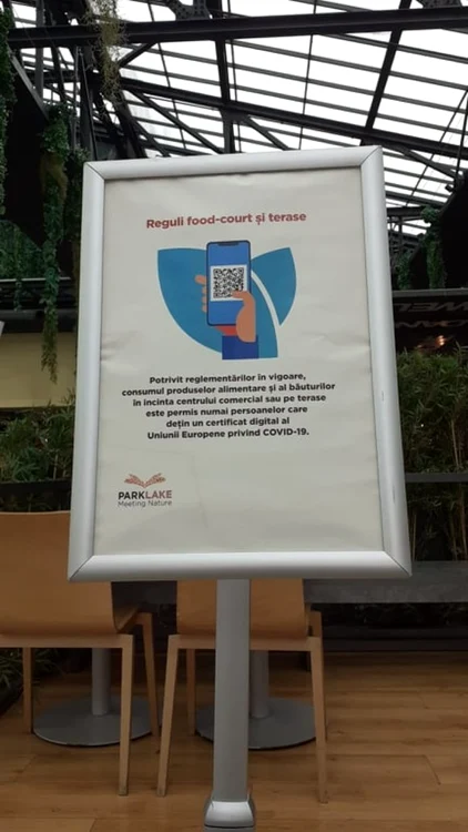 
    Fotografie realizată azi, 24 septembrie, în Park Lakefoto: Eugenia Alexandrescu  