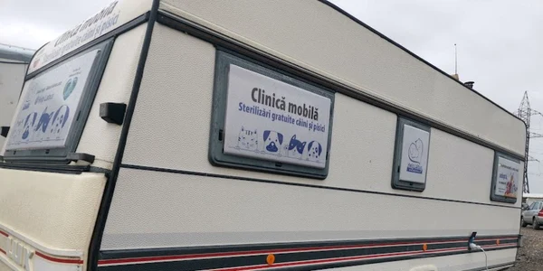 clinica
